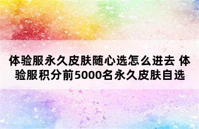 体验服永久皮肤随心选怎么进去 体验服积分前5000名永久皮肤自选